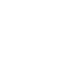 checklist icon